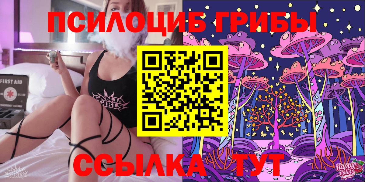 Галлюциногенные грибы GOLDEN TEACHER Чайковский