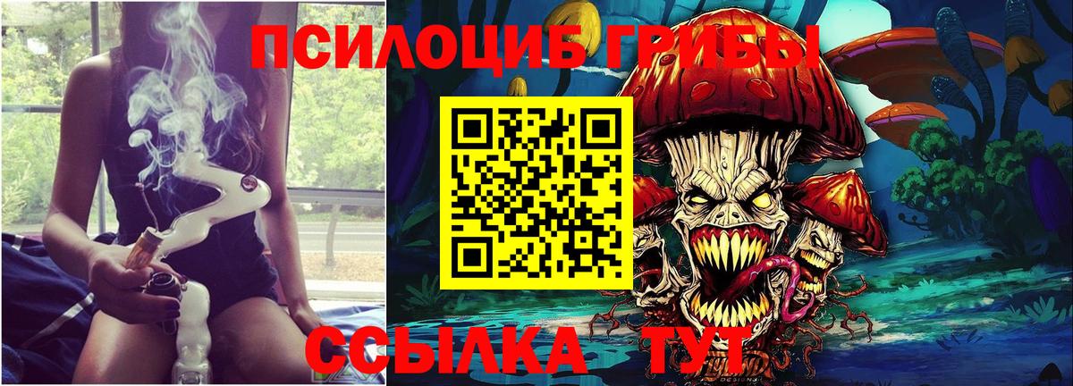 Псилоцибиновые грибы Cubensis  где купить наркоту  Чайковский  Вход с VPN 