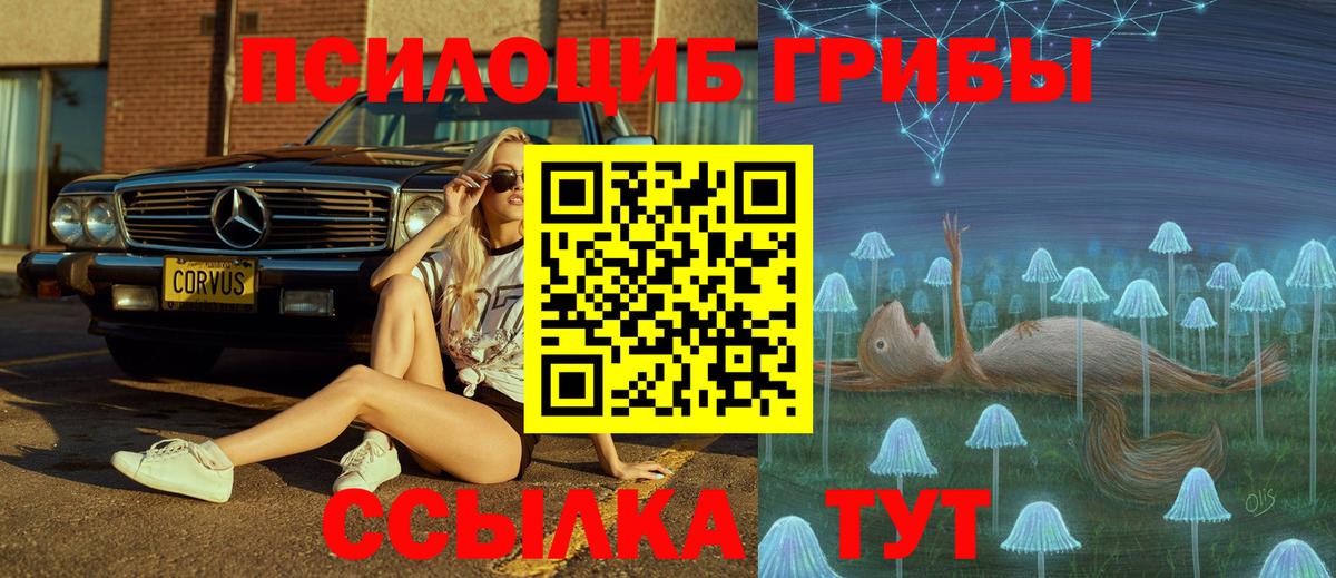 Псилоцибиновые грибы прущие грибы Чайковский